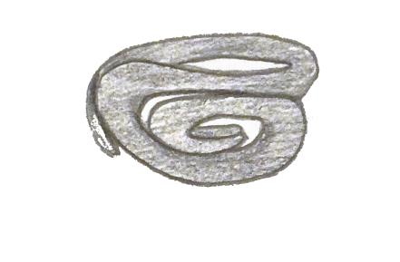 Silver Image